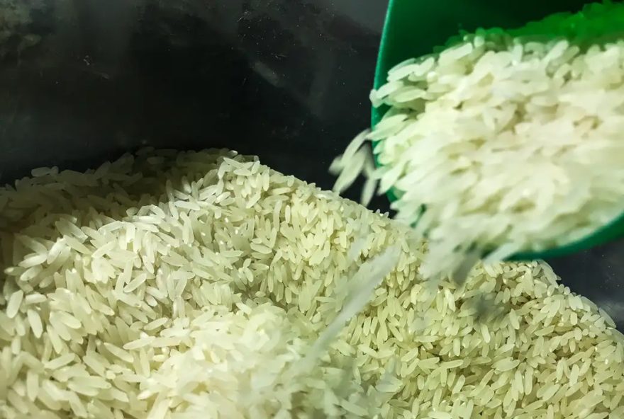 Intuito é garantir o abastecimento de arroz em todo o país