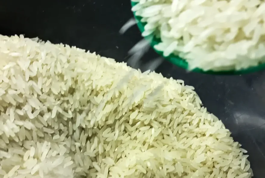 Preço do arroz deve cair cerca de 20% nas próximas semanas