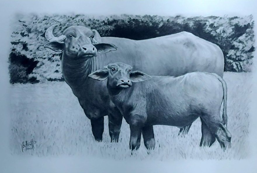 artista-de-sarapui-leva-retratos-de-animais-para-tres-continentes