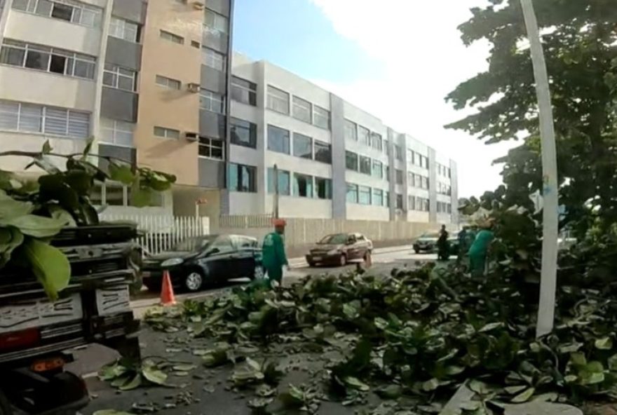 arvore-cai-e-bloqueia-pista-em-avenida-da-orla-de-salvador3A-equipes-atuam-na-remocao-e-alertam-para-importancia-da-manutencao-ambiental