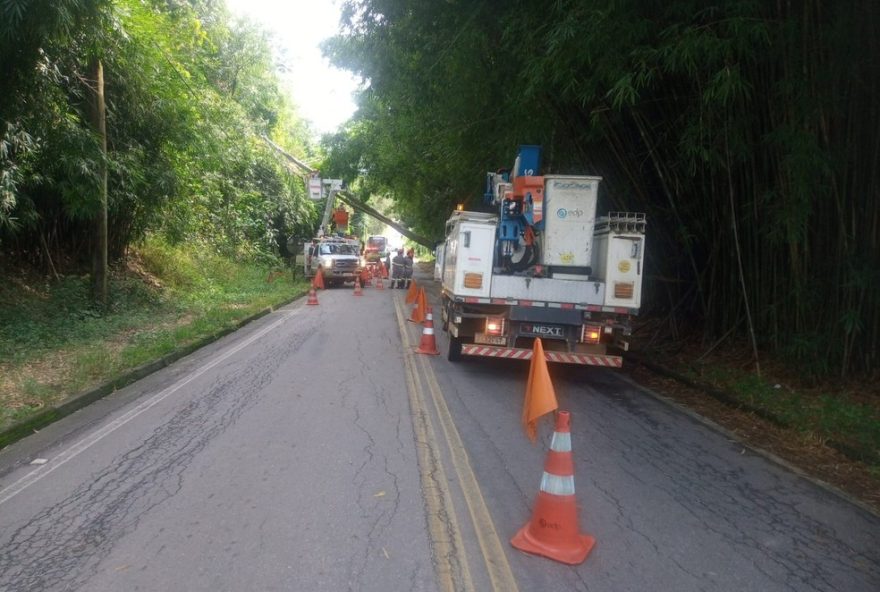 arvore-cai-e-interdita-estrada-municipal-em-pindamonhangaba3A-veja-detalhes-da-ocorrencia-e-acao-das-autoridades