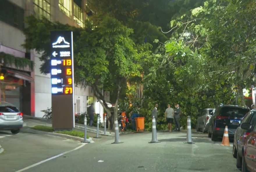 arvore-cai-e-interdita-rua-no-leblon-devido-a-ventania-no-rio-de-janeiro
