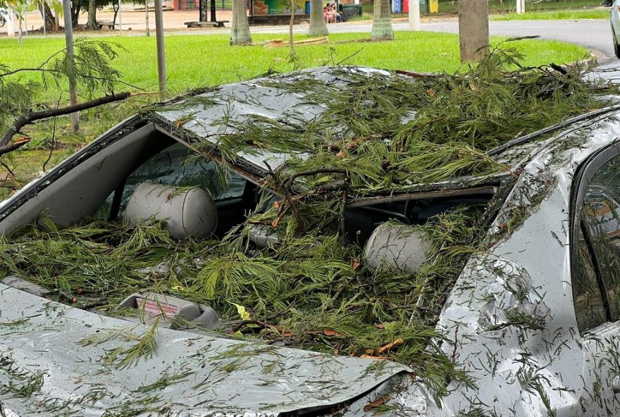 arvore-cai-sobre-carro-em-campinas-durante-chuva-intensa3A-casal-escapa-ileso2C-criancas-estao-a-salvo