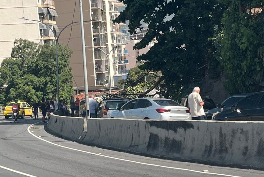 arvore-cai-sobre-veiculo-na-autoestrada-grajau-jacarepagua3A-interdicao-e-remocao-em-andamento.-acompanhe-no-app-de