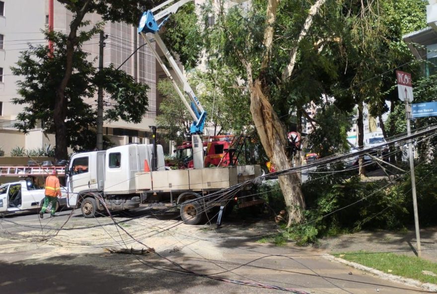 Agentes da Secretaria Municipal de Mobilidade coordenam o tráfego na Avenida Portugal, interditada devido à queda de árvore