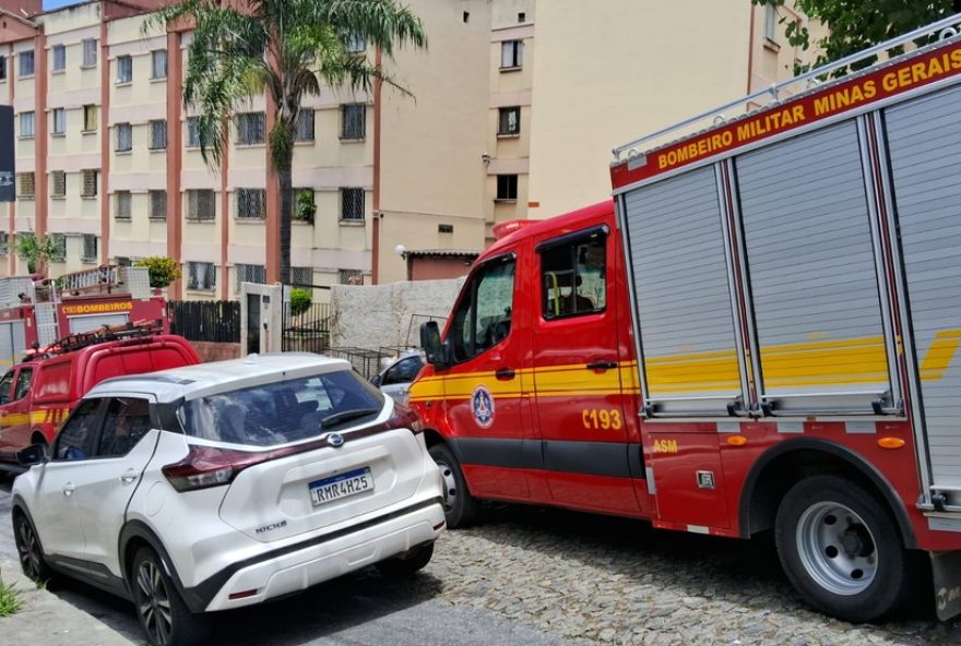 ataque-de-abelhas-deixa-idosa-ferida-em-bh3A-resgate-e-alertas-para-evitar-novos-incidentes