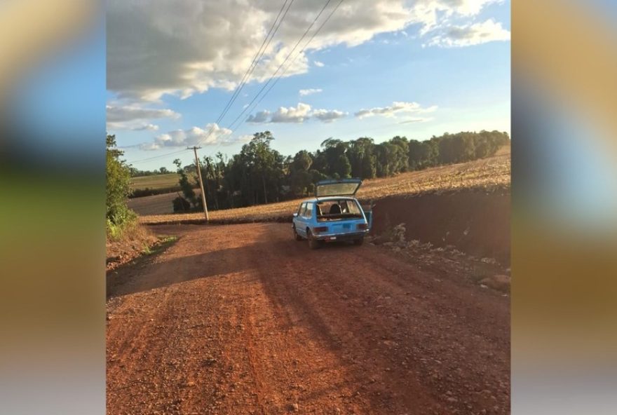 ataque-de-abelhas-no-rs-deixa-tres-feridos-em-novo-machado3A-como-agir-em-situacoes-de-risco ataque-de-abelhas-no-rs-deixa-tres-feridos-em-novo-machado3A-como-agir-em-situacoes-de-risco