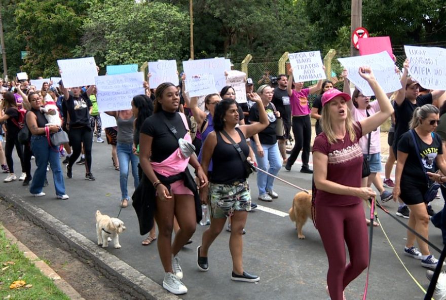 ativistas-protestam-em-campinas-contra-maus-tratos-a-animais3A-caso-do-cao-orelha-chama-atencao ativistas-protestam-em-campinas-contra-maus-tratos-a-animais3A-caso-do-cao-orelha-chama-atencao