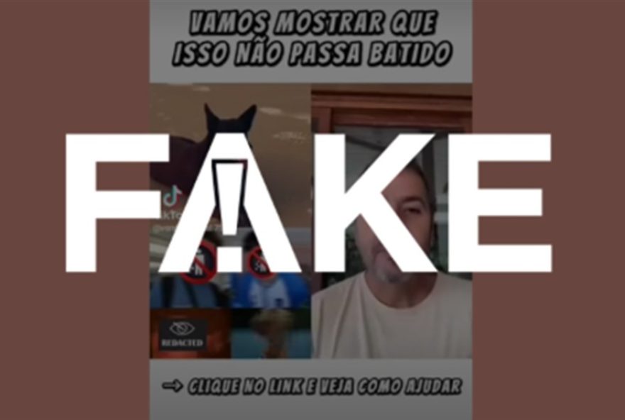 ator-marcos-palmeira-desmente-video-falso-de-apelo-por-doacoes-no-caso-do-cao-orelha3A-alerta-para-golpe-23fake-e-precaucao-online