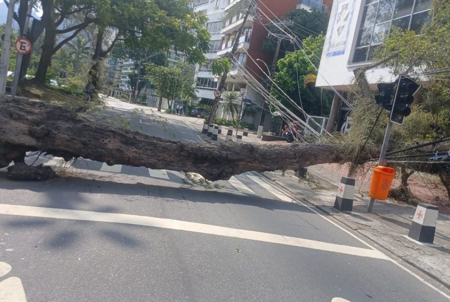 avenida-borges-de-medeiros-interditada-apos-queda-de-arvore-na-lagoa3A-caos-no-transito-da-zona-sul-do-rio