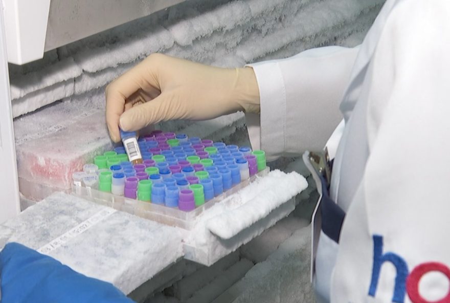 bacteria-na-boca-e-cancer-de-cabeca-e-pescoco3A-estudo-revela-relacao-e-possiveis-tratamentos-menos-invasivos