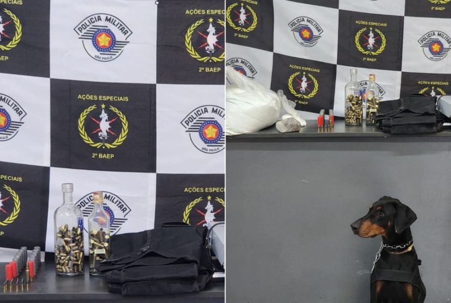 baep-realiza-apreensao-de-drogas-e-municoes-em-condominio-de-santos3A-k-9-horus-auxilia-na-operacao