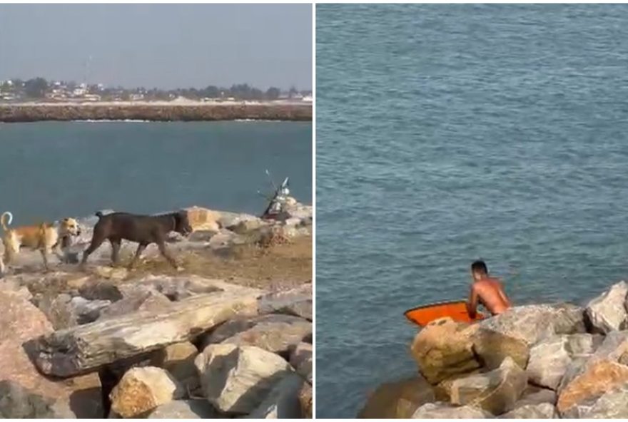 banhista-heroi-salva-cachorro-preso-em-pedras-no-mar-em-caucaia-ce-7C-video3A-brenda-matias