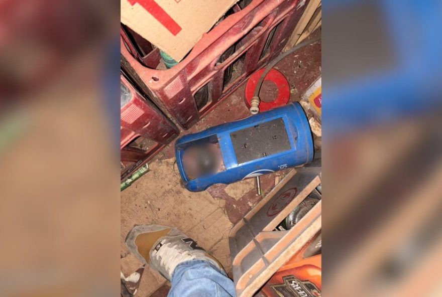 bar-interditado-em-uberaba-por-bebidas-vencidas-e-mas-condicoes2C-cachorro-encontrado-em-situacao-de-maus-tratos