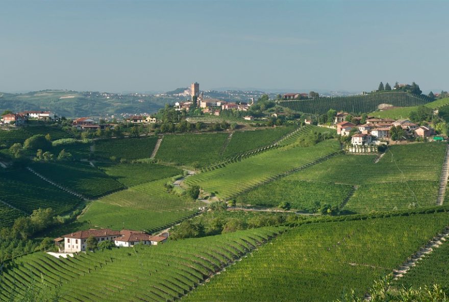 barolo-vs-barbaresco3A-conheca-as-diferencas-entre-estes-vinhos-italianos-iconicos