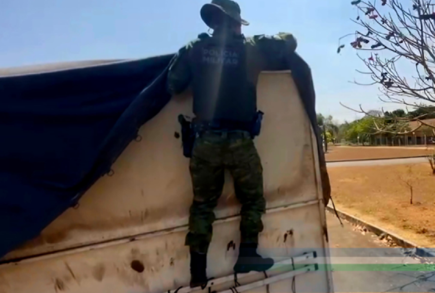 Carga e a carreta foram apreendidas e encaminhadas à Delegacia de Polícia, assim como o motorista da carreta e o proprietário da madeira (Foto: PMGO)