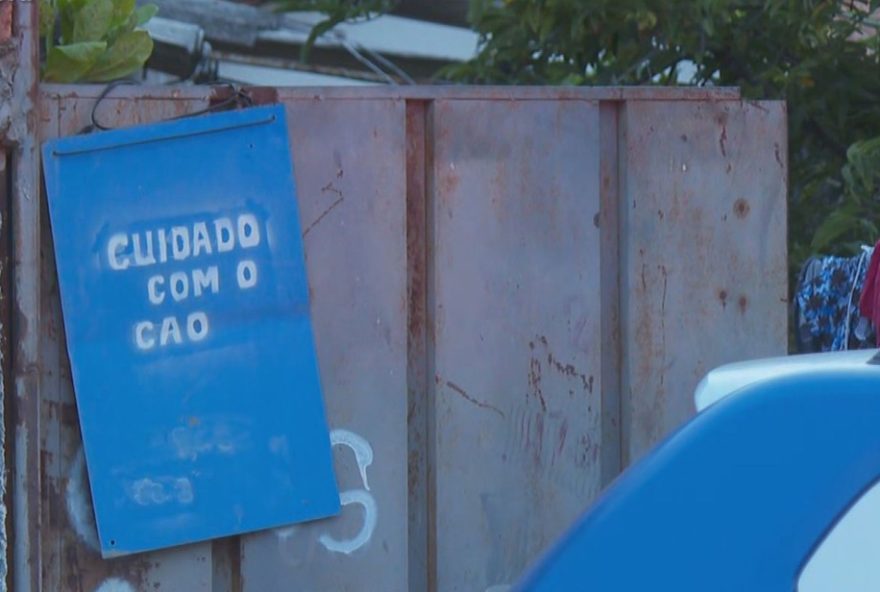 bebe-de-10-meses-morre-apos-ser-atacado-por-cachorro-em-goiania3A-alerta-para-convivencia-segura-com-animais-de-estimacao