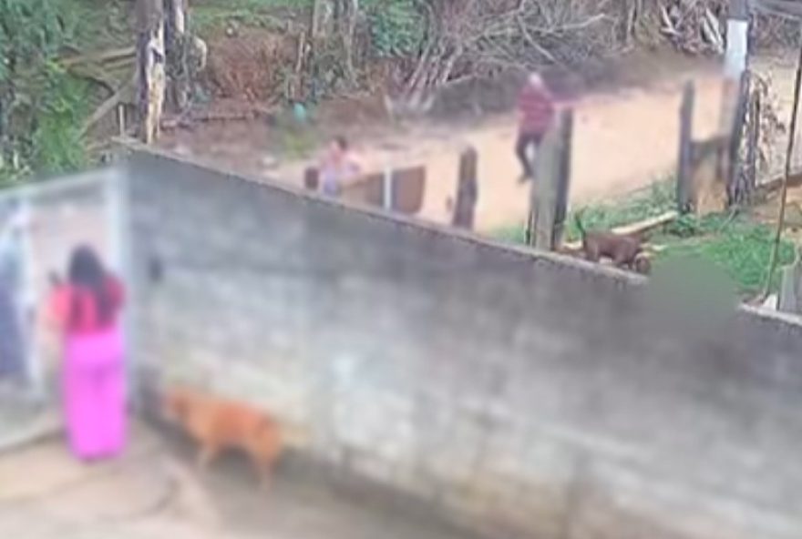 bebe-de-11-meses-e-morto-por-pitbull-em-socorro3A-investigacoes-e-reflexoes-sobre-maus-tratos-e-negligencia bebe-de-11-meses-e-morto-por-pitbull-em-socorro3A-investigacoes-e-reflexoes-sobre-maus-tratos-e-negligencia