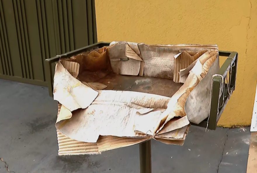 bebe-encontrada-viva-em-lixeira3A-investigacoes-em-guariba-sp bebe-encontrada-viva-em-lixeira3A-investigacoes-em-guariba-sp