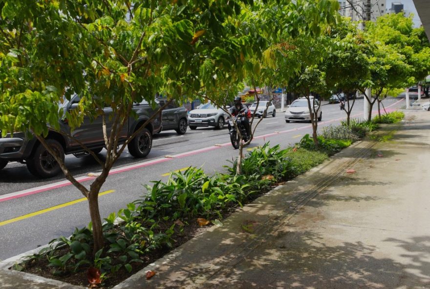 belem-instala-jardins-de-chuva-para-prevenir-alagamentos3A-veja-locais