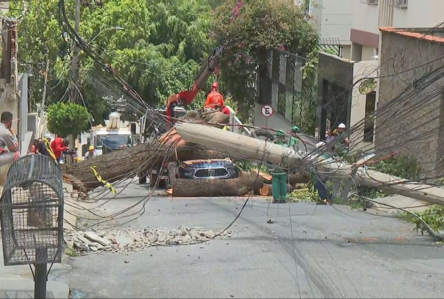 belo-horizonte3A-618-quedas-de-arvores-e-galhos-em-20252C-impactos-e-alertas-de-seguranca belo-horizonte3A-618-quedas-de-arvores-e-galhos-em-20252C-impactos-e-alertas-de-seguranca