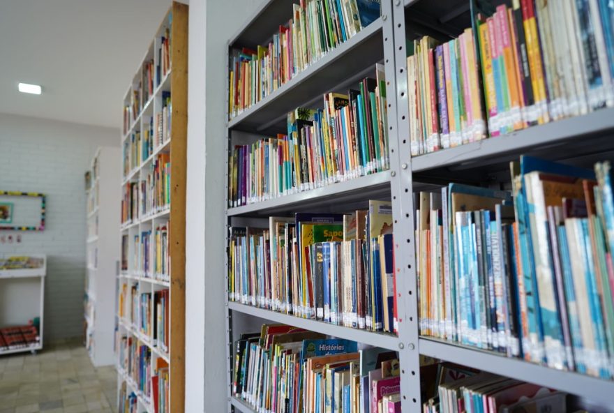 biblioteca-comunitaria3A-cultura2C-lazer-e-educacao-para-todos-proximo-ao-distrito-agroindustrial-de-anapolis