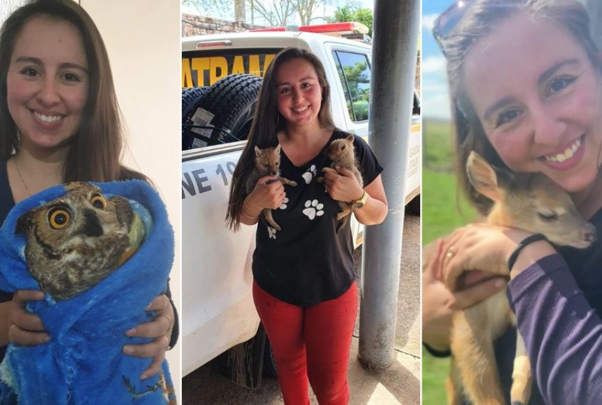 biologa-voluntaria-reabilita-animais-silvestres-no-rs biologa-voluntaria-reabilita-animais-silvestres-no-rs