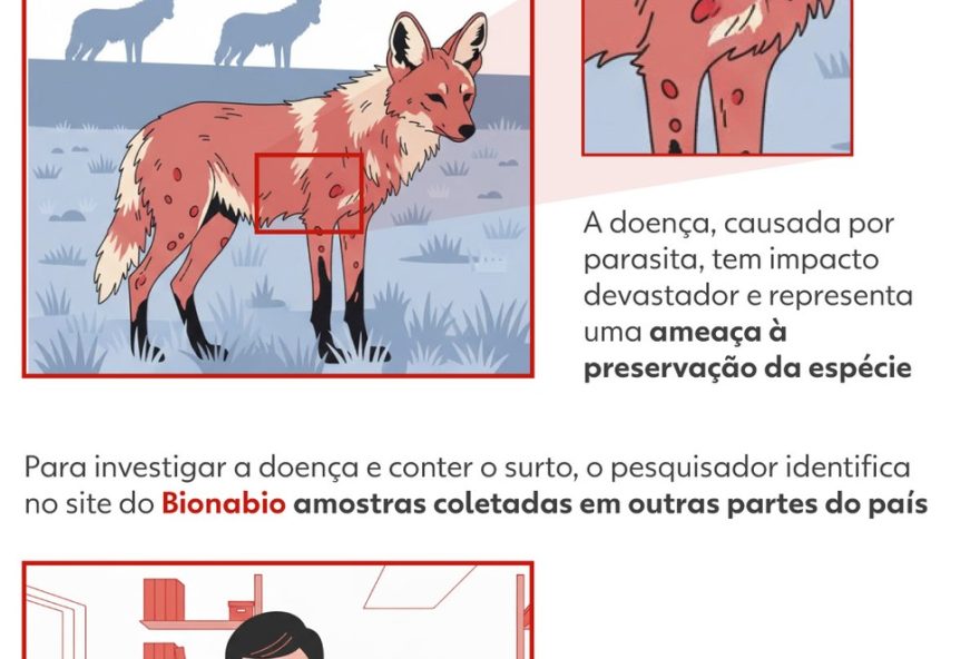 bionabio3A-brasil-lanca-primeiro-banco-de-dados-nacional-com-amostras-biologicas-da-fauna