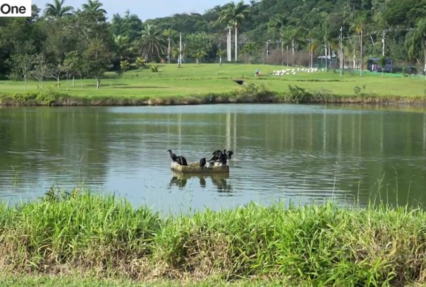 bluestone-apoia-forum-de-educacao-ambiental-no-avistar-20253A-saiba-mais