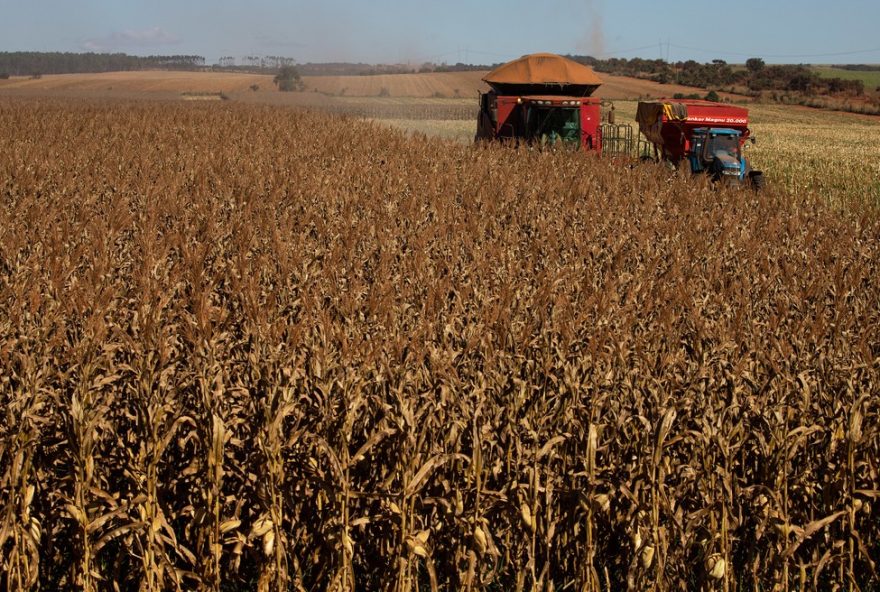 bolsas-de-r24-5-mil-para-atuar-no-meio-rural-do-vale-do-jequitinhonha-e-mucuri3A-inscricoes-abertas-ate-31-de-marco