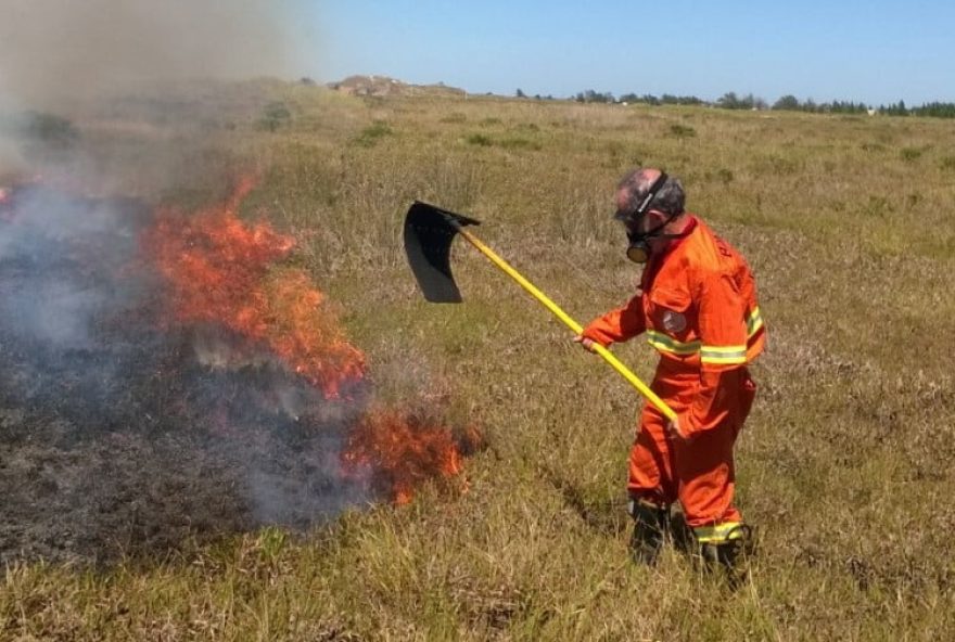 Incêndios, em sua maioria, são prova coados pela ação humana. (Foto: Divulgação/Corpo de Bombeiros)