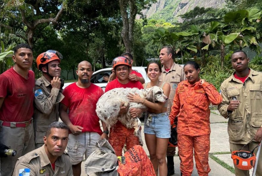 bombeiros-resgatam-cachorro-de-anitta-em-acao-emocionante-no-rio-de-janeiro