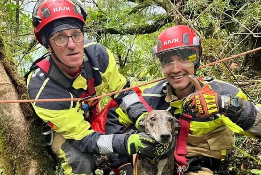 bombeiros-usam-gps-para-resgatar-cao-de-caca-em-canion3A-operacao-bem-sucedida-com-o-uso-de-tecnologia