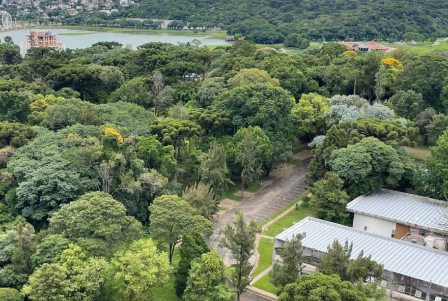 bosque-da-copel-vendido-em-curitiba-gera-preocupacao-sobre-preservacao