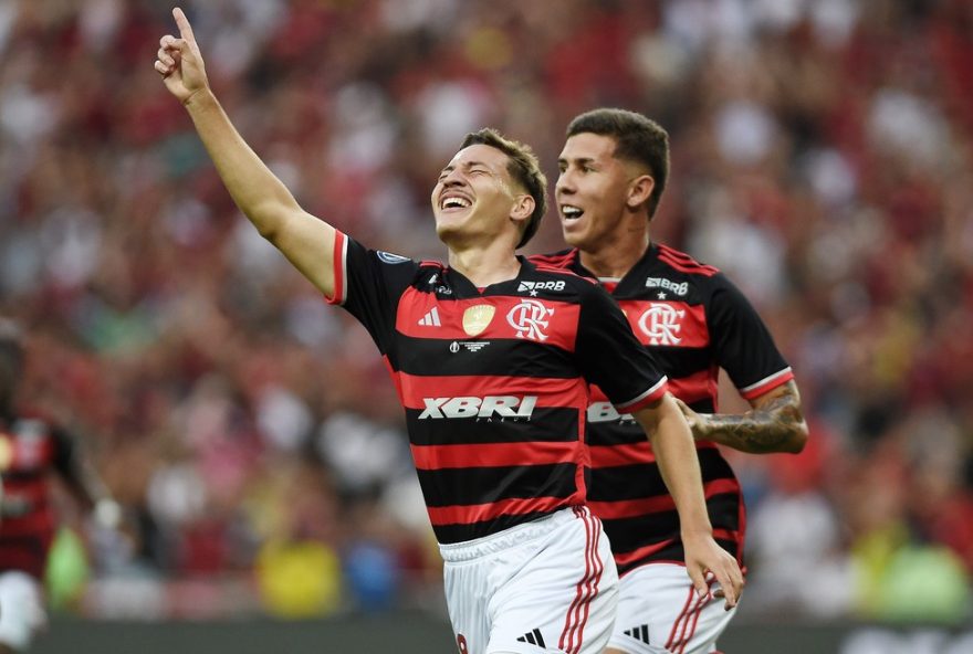 botafogo-pb-anuncia-reforco-com-passagem-pelo-flamengo-para-a-serie-c