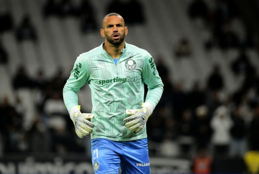 botafogo-x-palmeiras3A-mitada-2320-revela-oportunidade-de-pontuacao-alta-para-cartoleiros