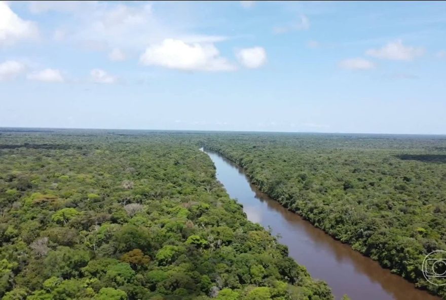 brasil-e-unico-pais-a-investir-em-fundo-para-preservacao-de-florestas-antes-da-cop30