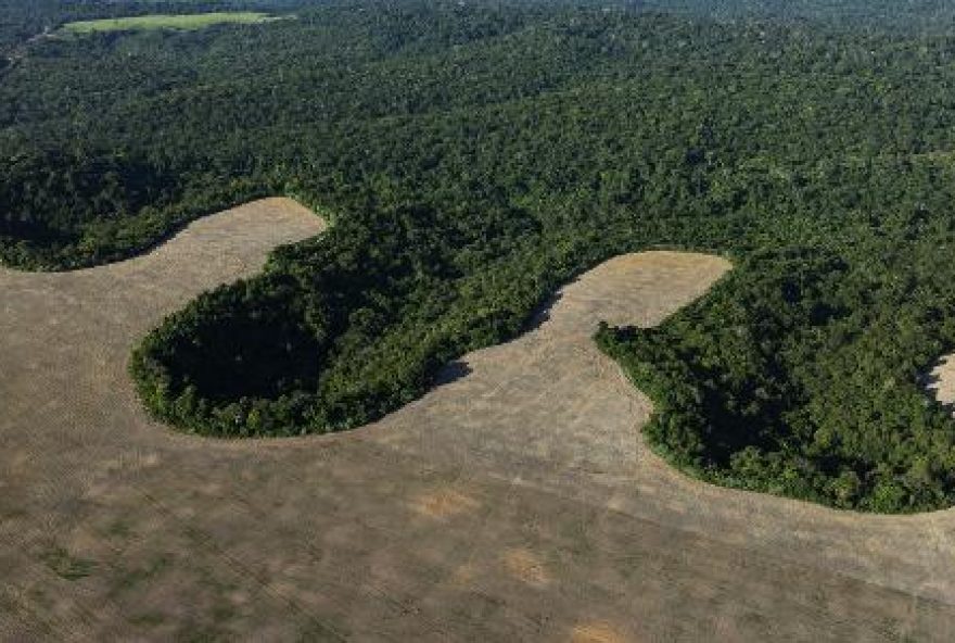brasil-perde-uma-bolivia-em-areas-naturais-em-40-anos