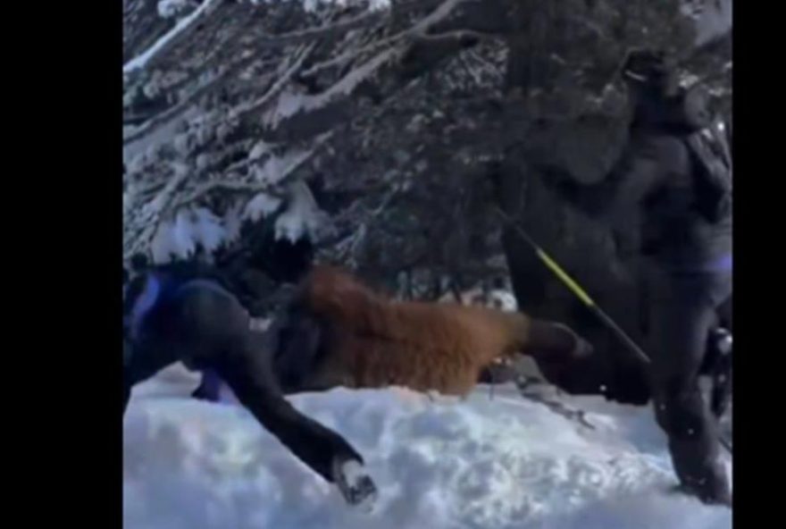 brasileiro-e-espancado-em-estacao-de-esqui-na-franca3A-violencia-choca-e-levanta-debates brasileiro-e-espancado-em-estacao-de-esqui-na-franca3A-violencia-choca-e-levanta-debates