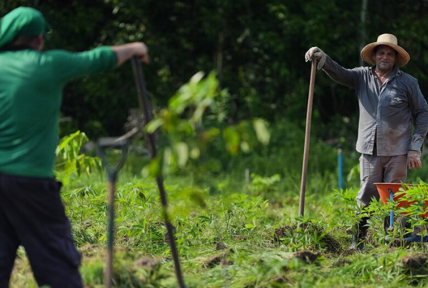 brasiliens-kampf-gegen-armut brasiliens-kampf-gegen-armut