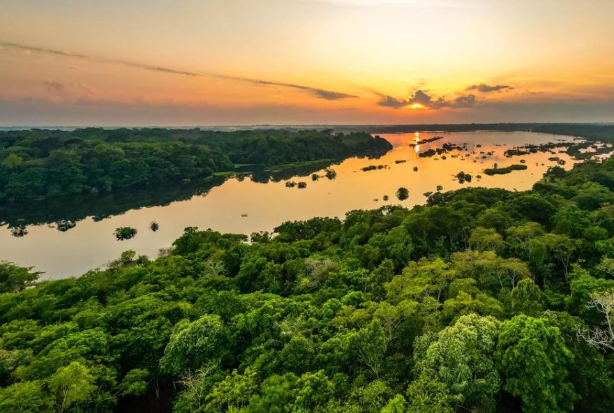 Scenic aerial sunset view of rainforest water jungle in Amazonas Brazil Scenic aerial sunset view of rainforest water jungle in Amazonas state Brazil