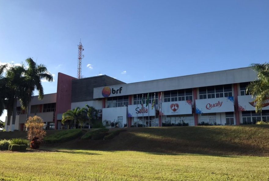 brf-abate-74-mil-galinhas-preventivamente-para-evitar-gripe-aviaria-em-goias.-medida-estrategica-e-aprovada-pelos-orgaos-competentes