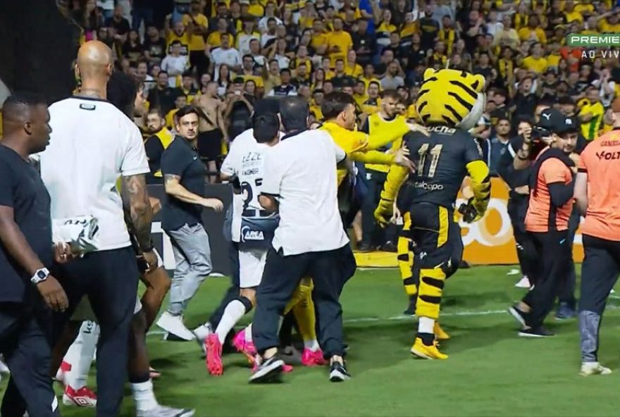 briga-na-arquibancada-e-confusao-com-mascote3A-criciuma-x-corinthians-em-jogo-polemico