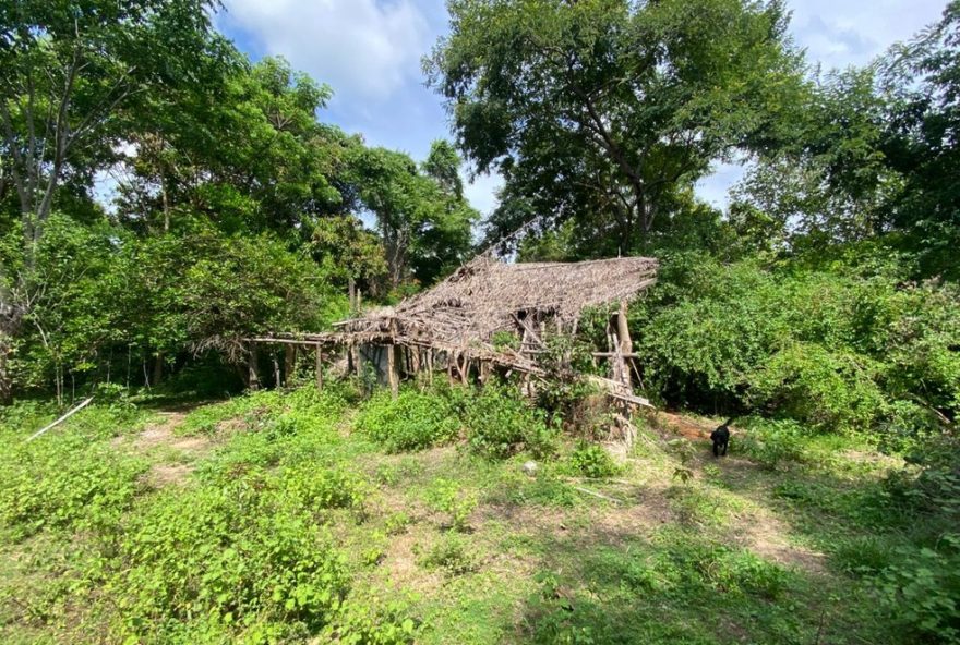 buscas-por-agatha-e-allan-completam-14-dias-em-bacabal-ma-com-operacoes-aereas2C-terrestres-e-subaquaticas buscas-por-agatha-e-allan-completam-14-dias-em-bacabal-ma-com-operacoes-aereas2C-terrestres-e-subaquaticas