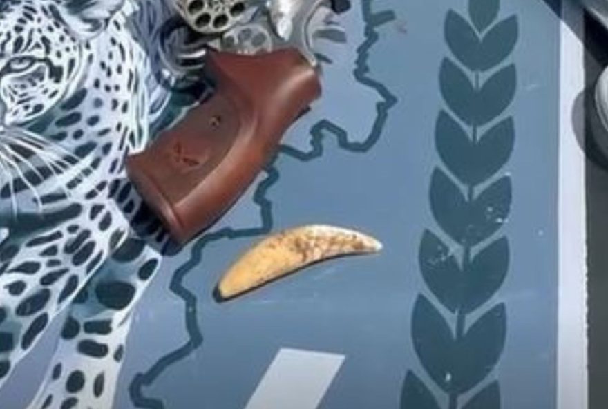 cacadores-de-onca-pintada-sao-presos-em-goias3A-ameaca-a-fauna-e-lucro-ilegal cacadores-de-onca-pintada-sao-presos-em-goias3A-ameaca-a-fauna-e-lucro-ilegal