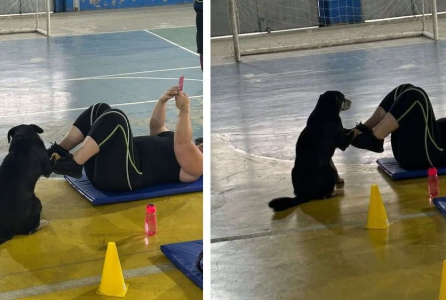 cachorrinho-participa-de-aula-de-ginastica-em-varzea-paulista3A-momento-divertido-e-inusitado cachorrinho-participa-de-aula-de-ginastica-em-varzea-paulista3A-momento-divertido-e-inusitado