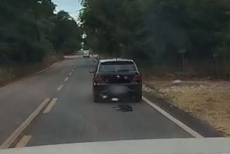cachorro-arrastado-por-carro-na-go-1543A-video-mostra-suposto-caso-de-maus-tratos