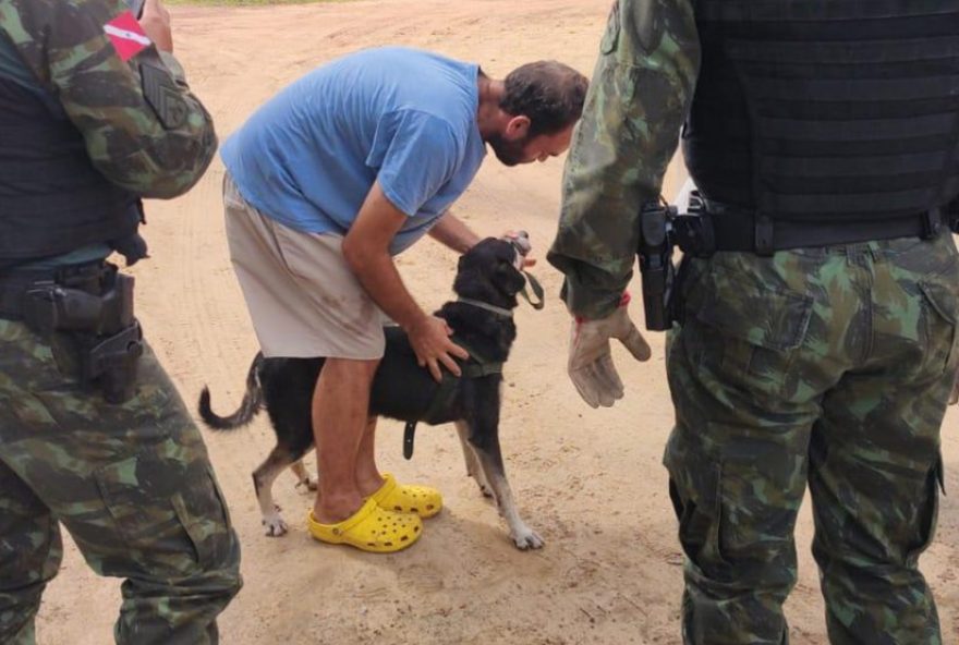 cachorro-atacado-por-jararaca-e-resgatado-pelo-instituto-evandro-chagas