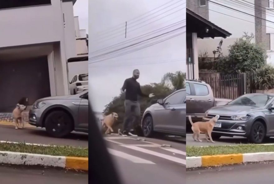 cachorro-caramelo-enquadra-policial-em-sc-e-video-viraliza