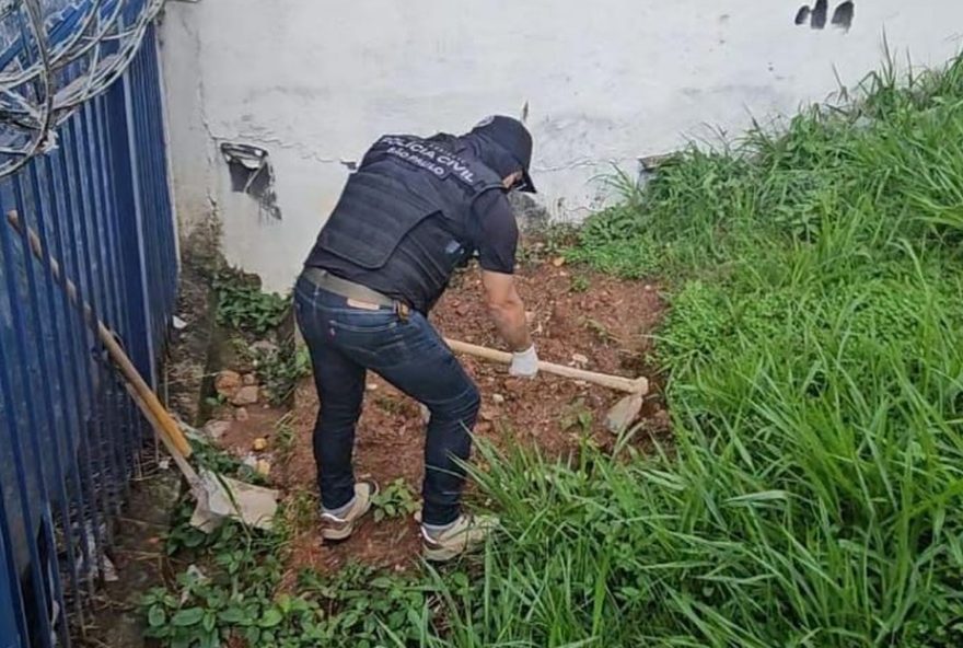 cachorro-comunitario-e-morto-a-tiros-em-sao-paulo3A-investigacoes-em-andamento cachorro-comunitario-e-morto-a-tiros-em-sao-paulo3A-investigacoes-em-andamento